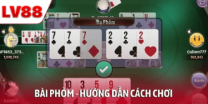 Bài Phỏm – Hướng Dẫn Cách Chơi Tất Tần Tật Từ A Đến Z