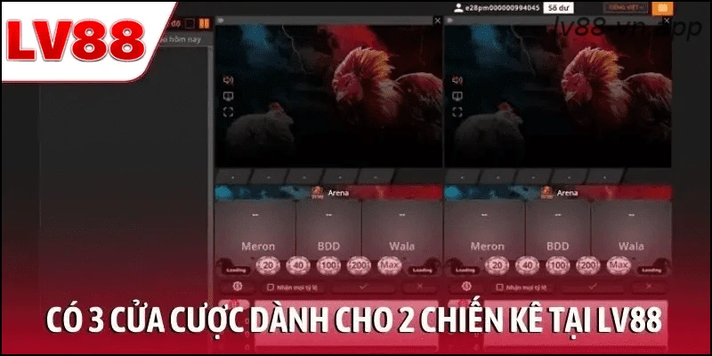 Có 3 cửa cược dành cho 2 chiến kê tại LV88