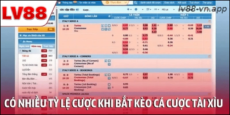 Có nhiều tỷ lệ cược khi bắt kèo cá cược tài xỉu bóng đá