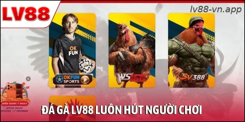 Đá gà LV88 với các trận đấu trực tiếp được cập nhật liên tục