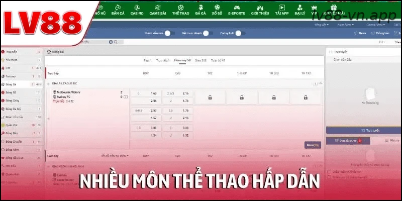 Nhiều môn thể thao hấp dẫn