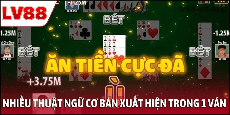 Nhiều thuật ngữ cơ bản xuất hiện trong 1 ván bài Phỏm